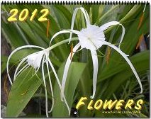 Flowers Calendar