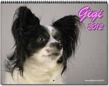 Papillon Dog Calendar