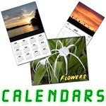 Unique Wall Calendars Here Now!